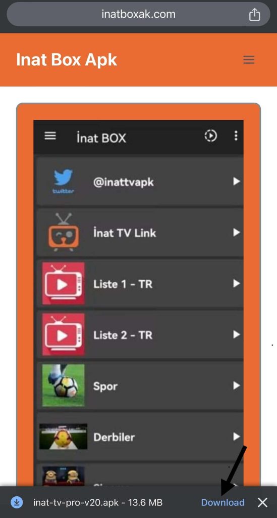 Inat-Box-Click-Download-Button